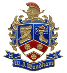 W J Woodham High School Mascot